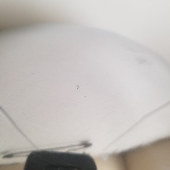 Nambe 10" bowl - Picture 10 of 10